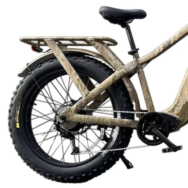 Vélo électrique RRE à double m - Bike Light Front Rear avis et prix